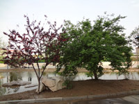 ̫�O������^(q��)