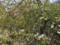 ̫�O�²����O�乫˾���쾰ɫ