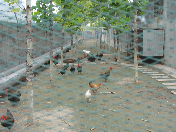 ̫�O�²����O(sh��)�乫˾